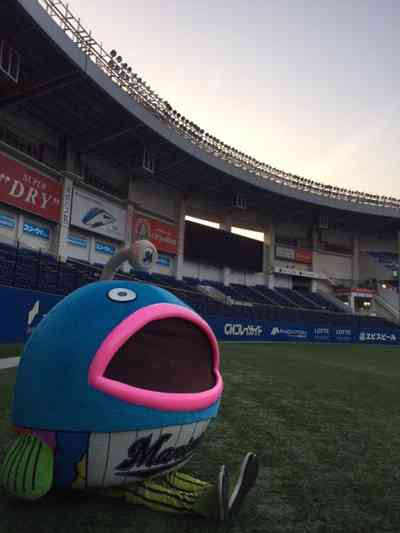 プロ野球 セ・パ交流戦 いよいよ開幕!!