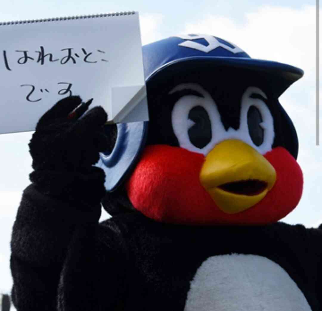 プロ野球 セ・パ交流戦 いよいよ開幕!!