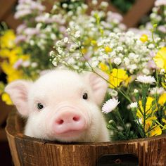 動物が喋ってそうなこと