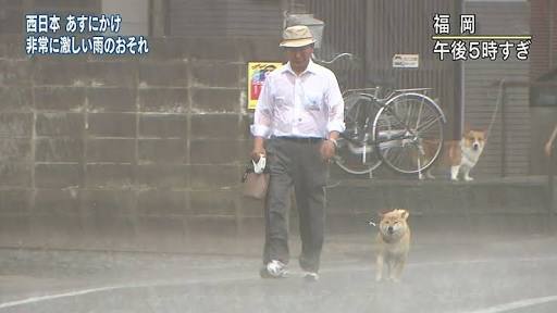 動物が喋ってそうなこと
