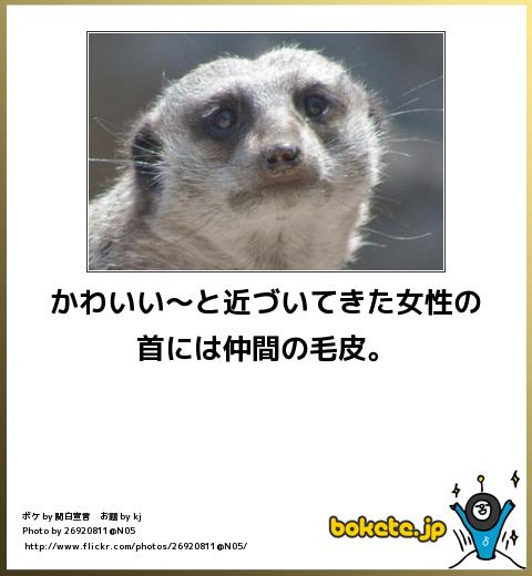 動物が喋ってそうなこと