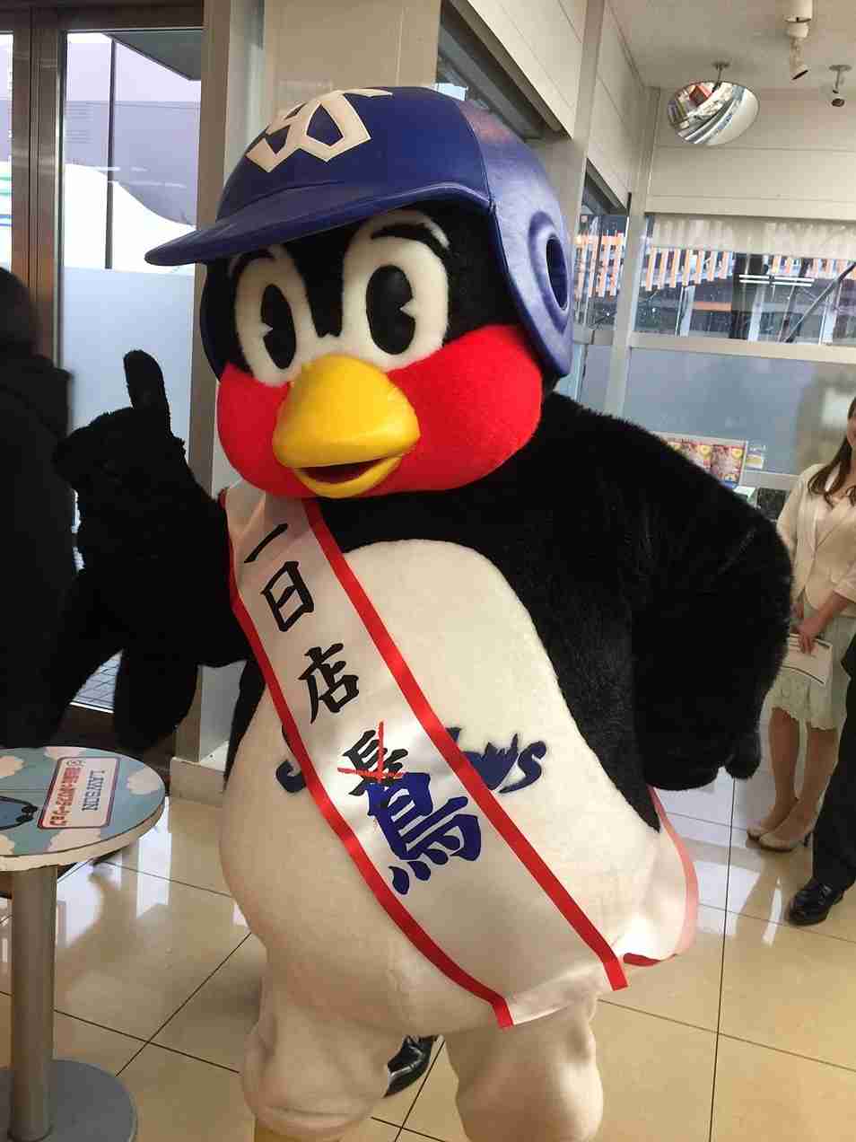 つば九郎&つばみに癒されたい人!