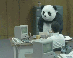 パンダに翻弄されるトピ