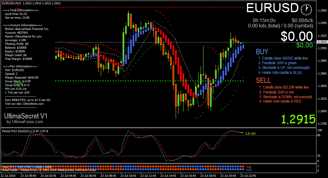 Bunny girl forex system