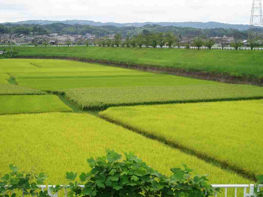 田舎 セックス 田舎 セックス