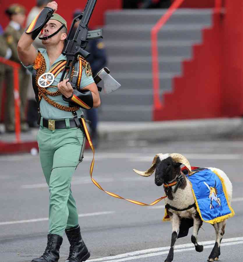 【画像】色んな軍服姿・戦闘服姿が見たい