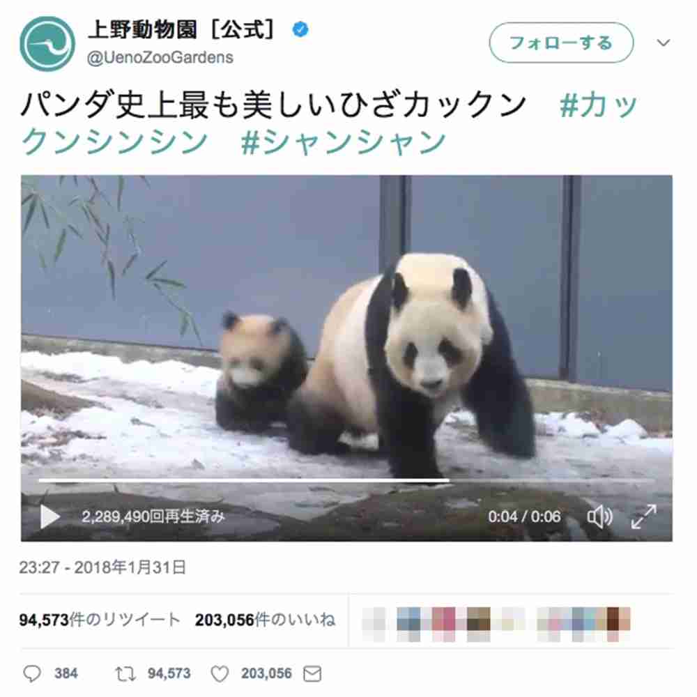 プラダ バッグ コピー楽天 | バリー バッグ 通贩