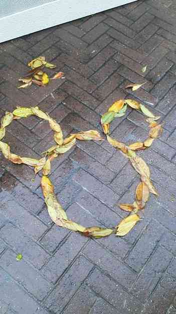 落ち葉をこんな形にした警備員さんがお茶目すぎてほんわかした