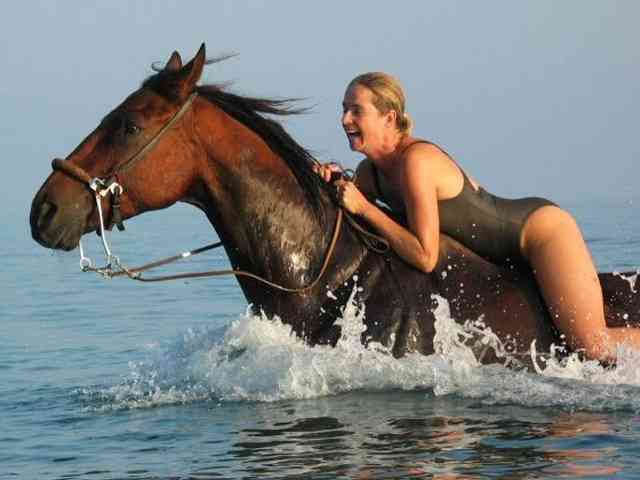 世界一美しい馬をご覧ください