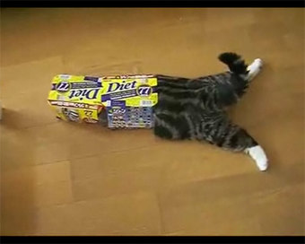 穴があったら加速つけてダイブしたい出来事