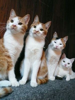 夜の世界で仕事している方