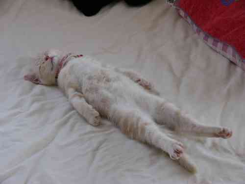 夜の世界で仕事している方