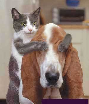 夜の世界で仕事している方