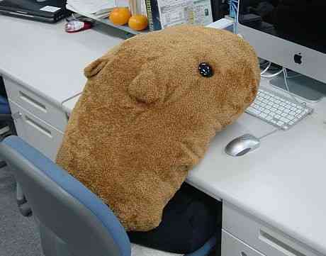 夜の世界で仕事している方