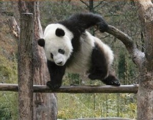 夜の世界で仕事している方