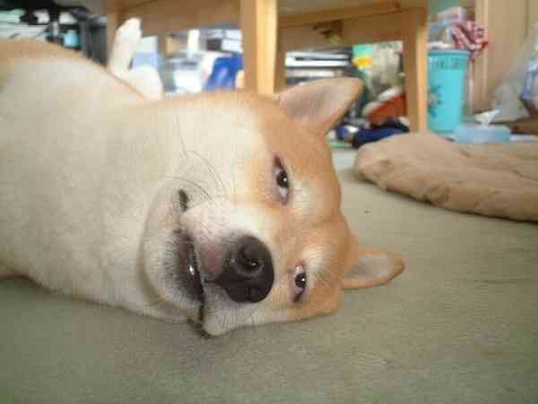 夜の世界で仕事している方