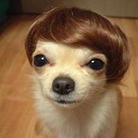 夜の世界で仕事している方