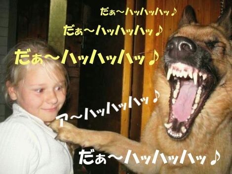 不倫、二股したことありますか？