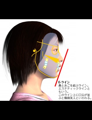 美人の基準って？