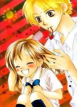 一番カッコいいと思う少女漫画のヒーローは?