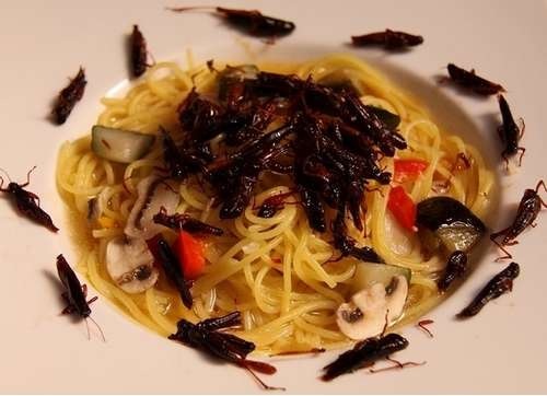 手軽に作れるパスタレシピ！