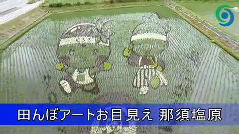日本の「田んぼアート」がスゴいことになってる!