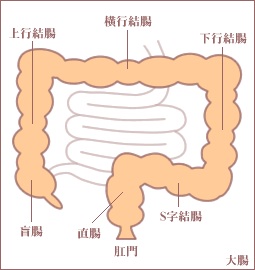 たぶん自分だけだと思う癖、習慣