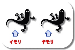 似てる物、教えて下さい