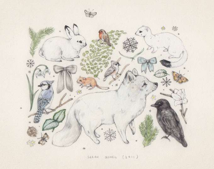 癒されるイラスト、絵の画像(*´ω`*)