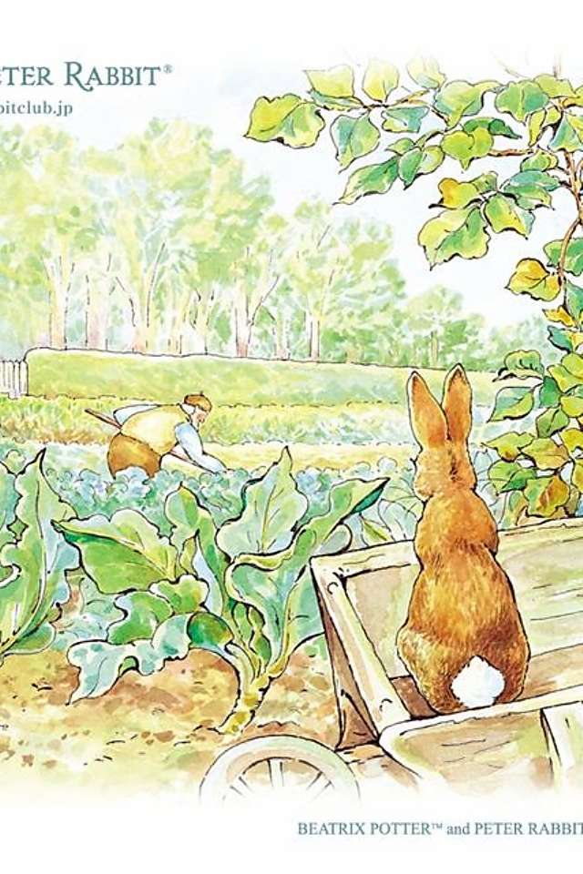 癒されるイラスト、絵の画像(*´ω`*)