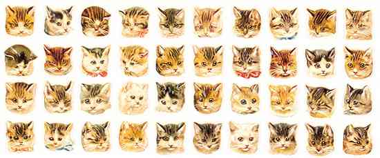 癒されるイラスト、絵の画像(*´ω`*)