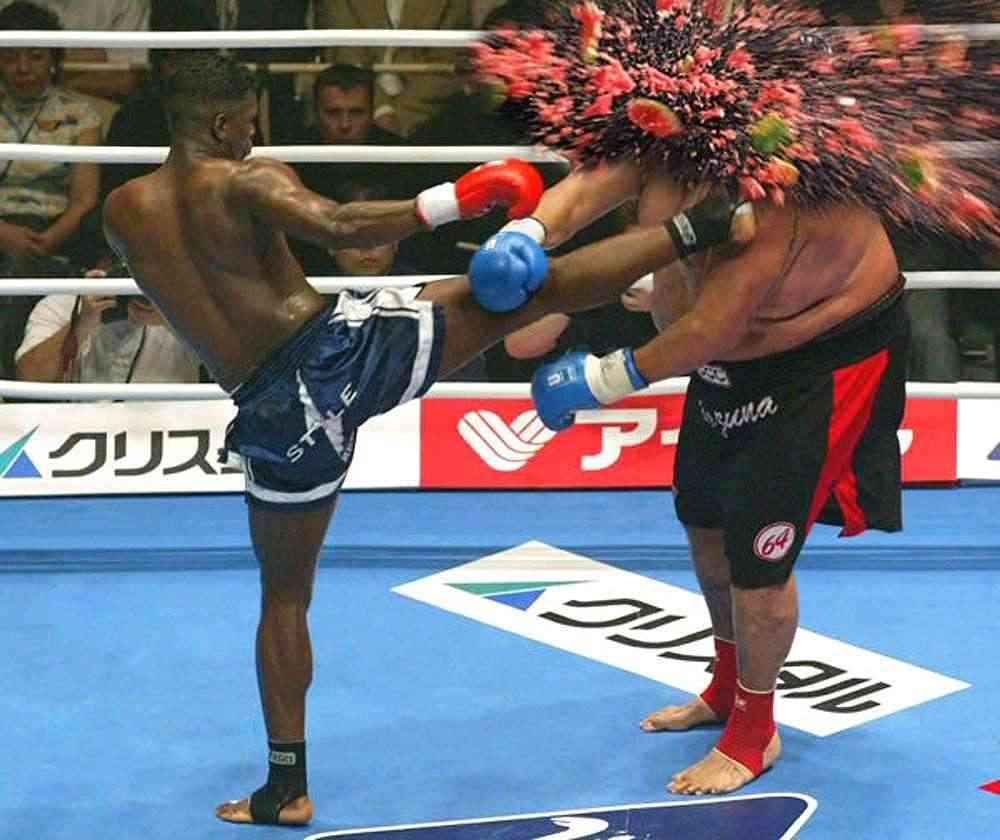 一瞬ビックリする画像