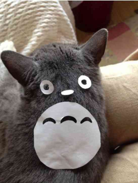 一瞬ビックリする画像