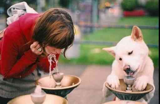 ペットは飼い主に似る?飼い主と同じポーズをとるワンコたちww