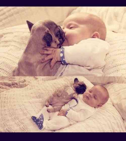 ペットは飼い主に似る?飼い主と同じポーズをとるワンコたちww