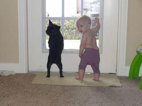 ペットは飼い主に似る?飼い主と同じポーズをとるワンコたちww