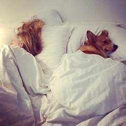 ペットは飼い主に似る?飼い主と同じポーズをとるワンコたちww