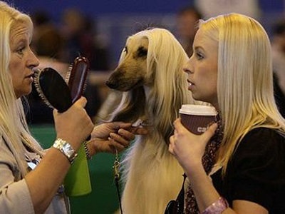 ペットは飼い主に似る?飼い主と同じポーズをとるワンコたちww