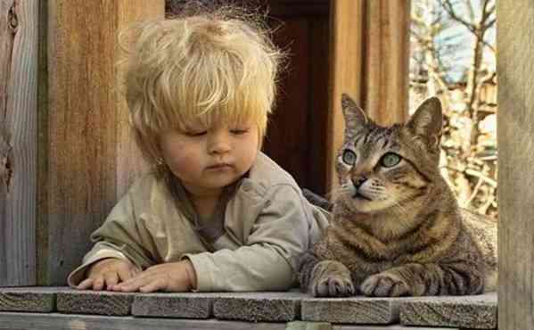 ペットは飼い主に似る?飼い主と同じポーズをとるワンコたちww