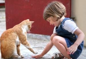 ペットは飼い主に似る?飼い主と同じポーズをとるワンコたちww