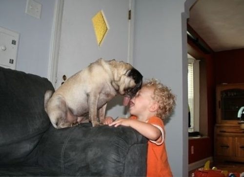 ペットは飼い主に似る?飼い主と同じポーズをとるワンコたちww