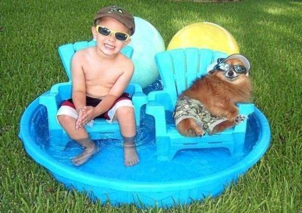 ペットは飼い主に似る?飼い主と同じポーズをとるワンコたちww