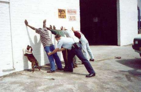 ペットは飼い主に似る?飼い主と同じポーズをとるワンコたちww