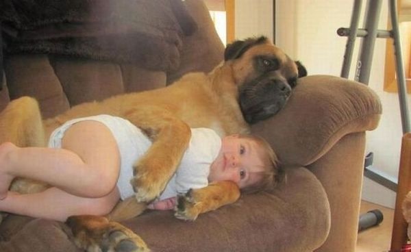 ペットは飼い主に似る?飼い主と同じポーズをとるワンコたちww