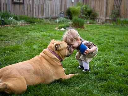 ペットは飼い主に似る?飼い主と同じポーズをとるワンコたちww
