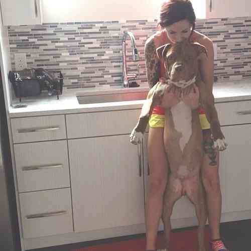 ペットは飼い主に似る?飼い主と同じポーズをとるワンコたちww