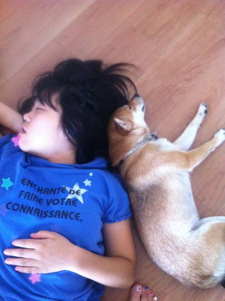 ペットは飼い主に似る?飼い主と同じポーズをとるワンコたちww