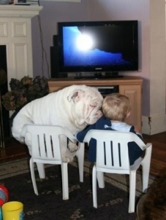 ペットは飼い主に似る?飼い主と同じポーズをとるワンコたちww