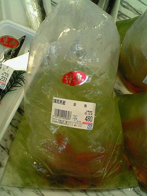 最近のスーパーがカオスすぎる！