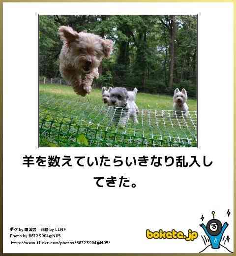 寝付けない時どうしていますか？